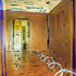 Distorsioni della memoria libera - 2012