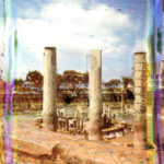 Distorsioni della memoria libera - 2012