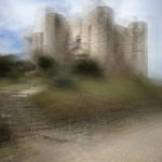 Anima progressiva - 2015